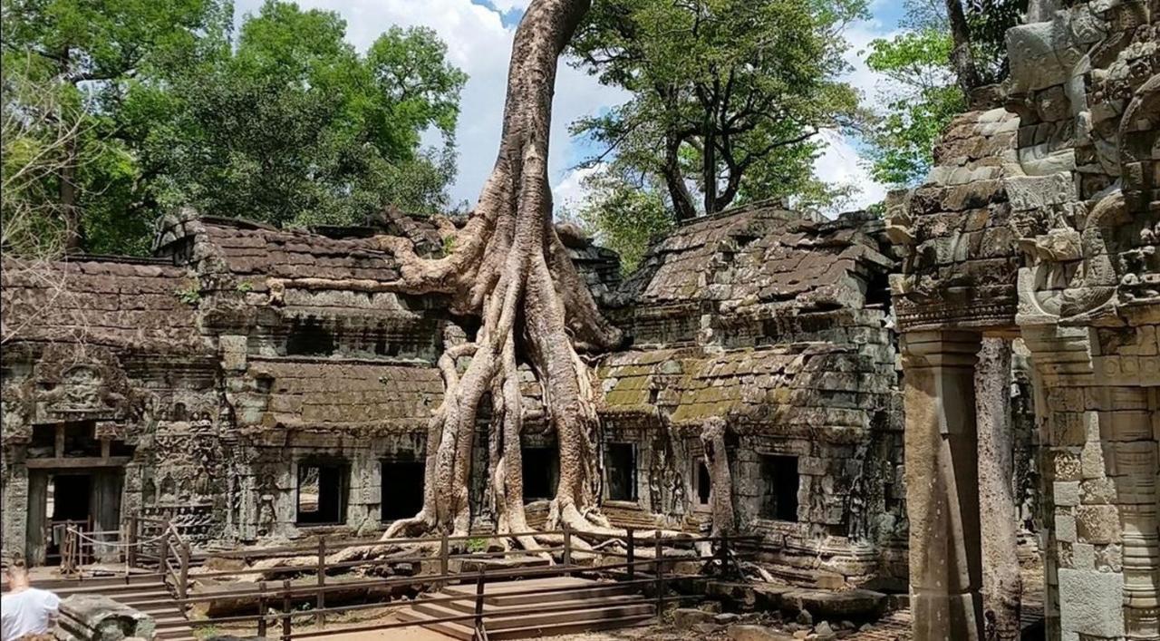 The Palmery Siem Reap Buitenkant foto