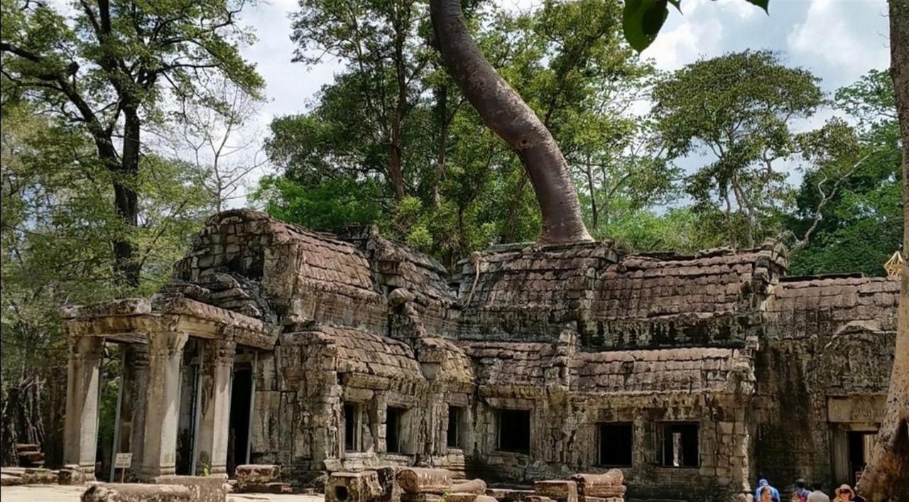 The Palmery Siem Reap Buitenkant foto